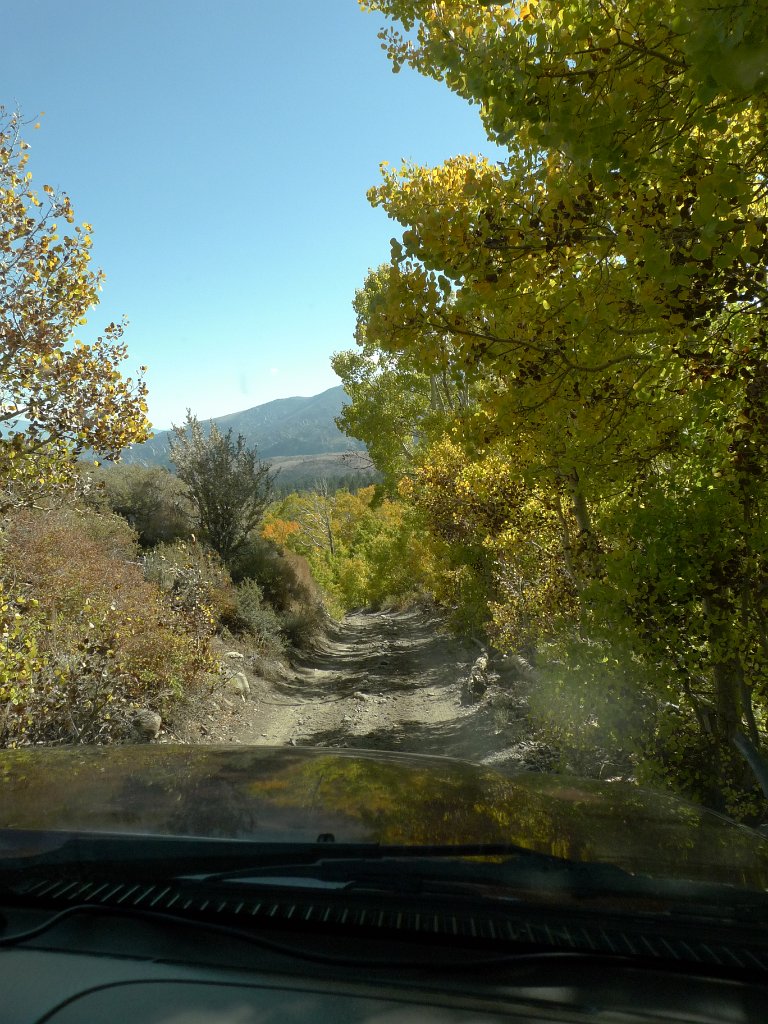 California-Fall2010 565.JPG